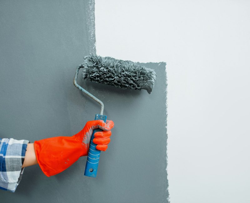 Female house painter hand with paint roller